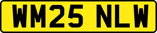 WM25NLW