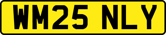 WM25NLY