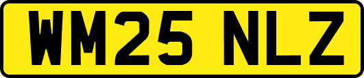 WM25NLZ
