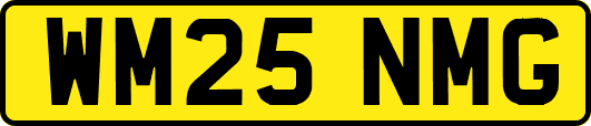 WM25NMG