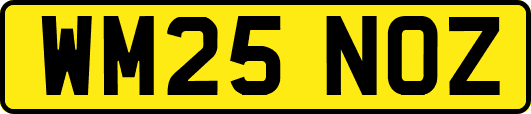 WM25NOZ