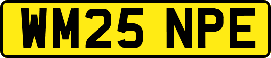 WM25NPE