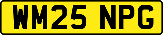 WM25NPG