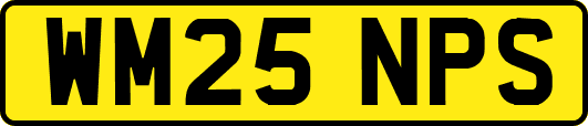 WM25NPS