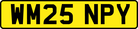WM25NPY