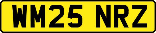 WM25NRZ