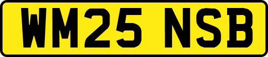 WM25NSB