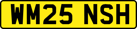 WM25NSH