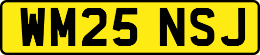 WM25NSJ