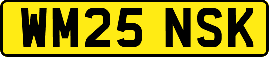 WM25NSK