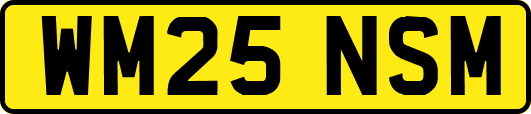 WM25NSM