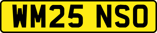 WM25NSO