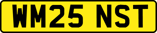 WM25NST