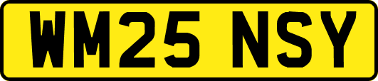 WM25NSY