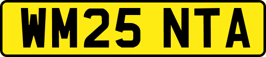 WM25NTA