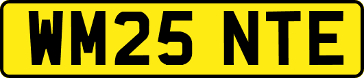 WM25NTE