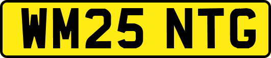 WM25NTG