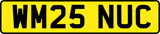 WM25NUC