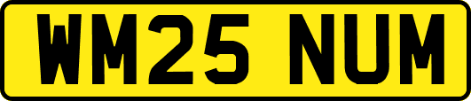 WM25NUM