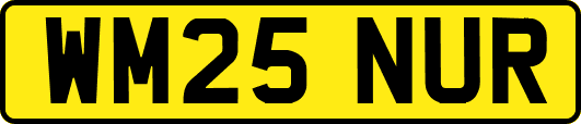 WM25NUR