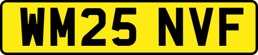 WM25NVF