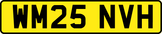 WM25NVH