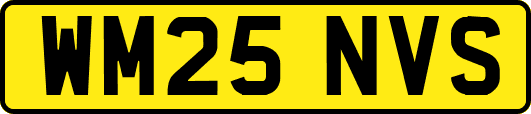 WM25NVS