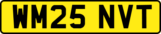 WM25NVT