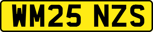 WM25NZS