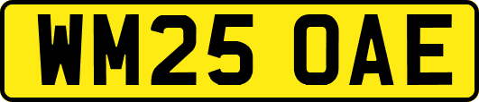 WM25OAE