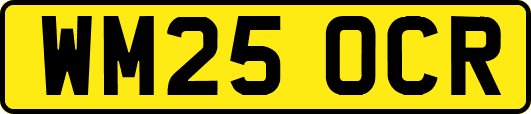 WM25OCR