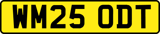 WM25ODT