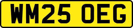 WM25OEG