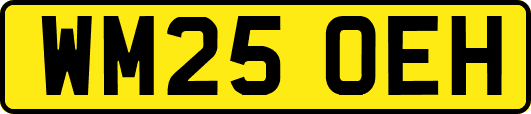 WM25OEH