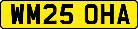 WM25OHA