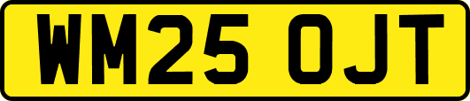 WM25OJT