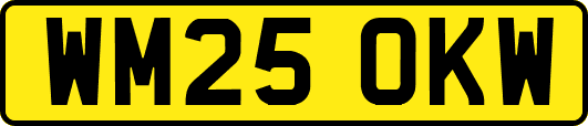 WM25OKW