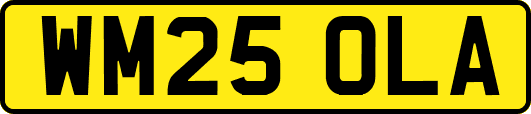 WM25OLA