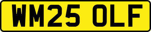 WM25OLF