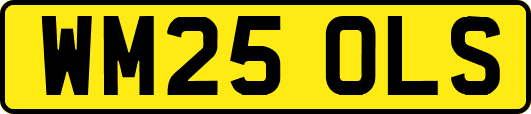 WM25OLS