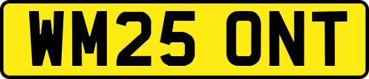 WM25ONT