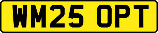 WM25OPT