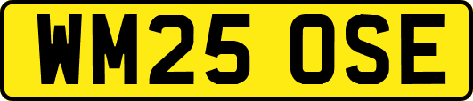 WM25OSE