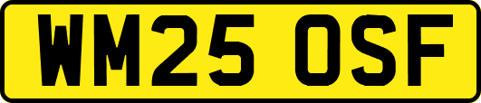 WM25OSF