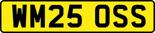 WM25OSS