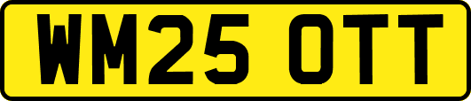 WM25OTT