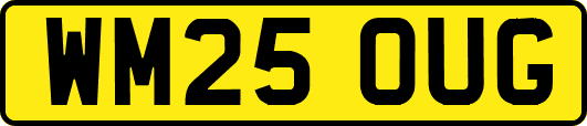 WM25OUG