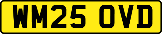 WM25OVD