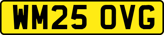 WM25OVG