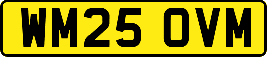 WM25OVM